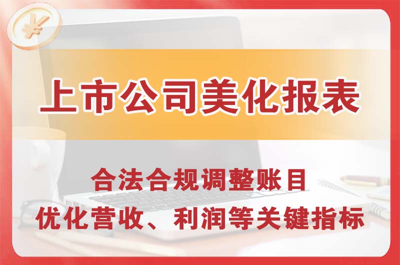 惠州上市公司美化报表